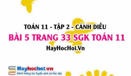 Bài 5 trang 33 Toán 11 tập 2 Cánh Diều